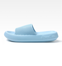 Licht Blauw